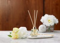 sofitel-boutique-essence-de-sofitel-reed-diffuser-sof-610-01_lrg