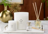 sofitel-boutique-essence-de-sofitel-reed-diffuser-sof-610-01_secondarylrg
