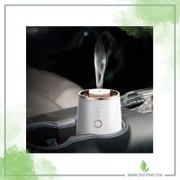 Car-Cup2