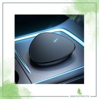 Car-FAN1